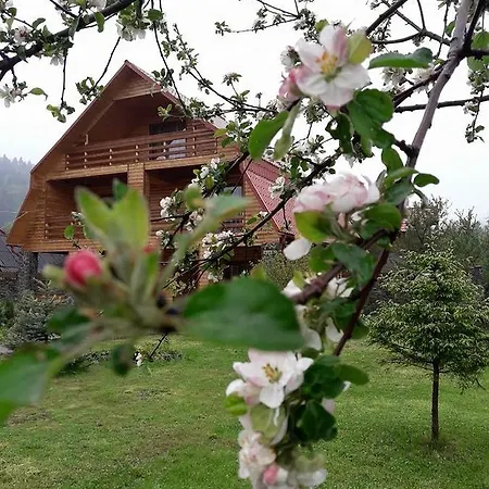 Casa vacanze Kryvyi Brid