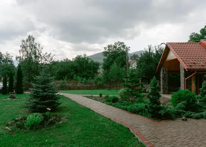 Kryvyi Brid